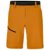 Short De Rando Salewa Puez 3 Durastretch M Golden Brown